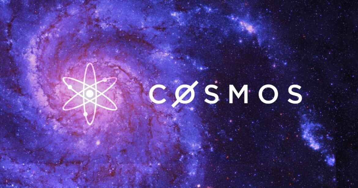 cosmos Cosmos