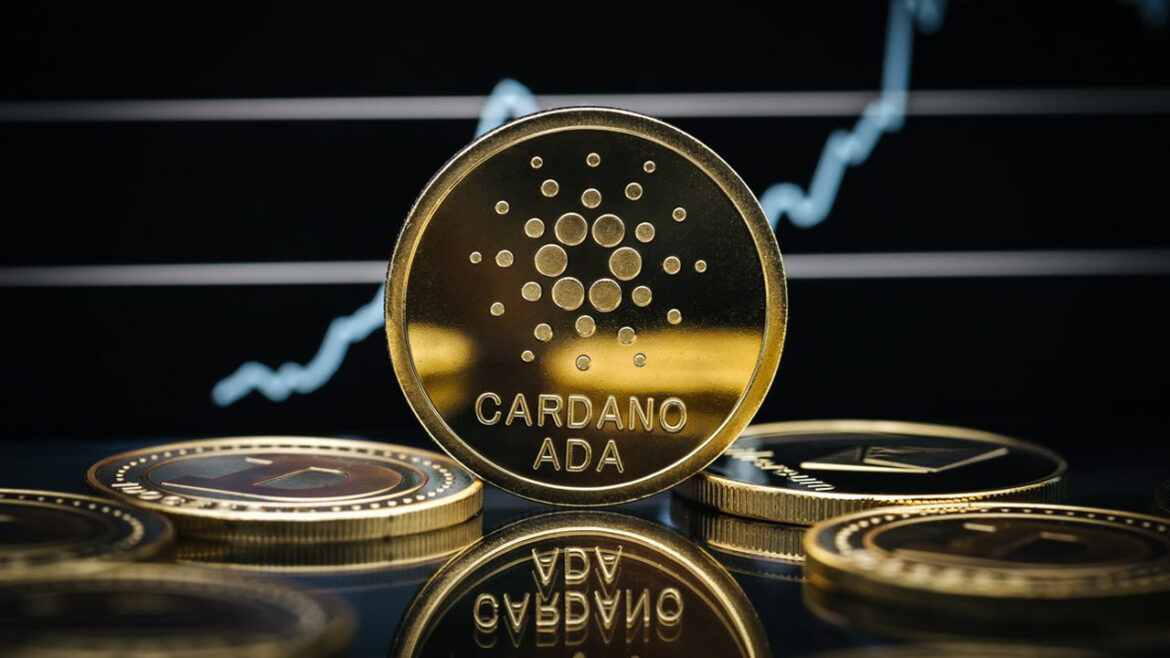 cardano ada cardano ada